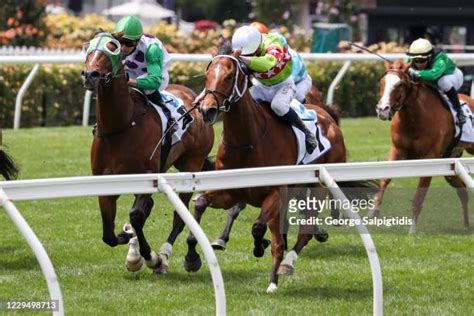 Chatham Stakes 2016 .